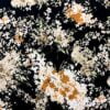 Flores Blancas